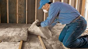 Best Crawl Space Insulation  in The Colony, TX